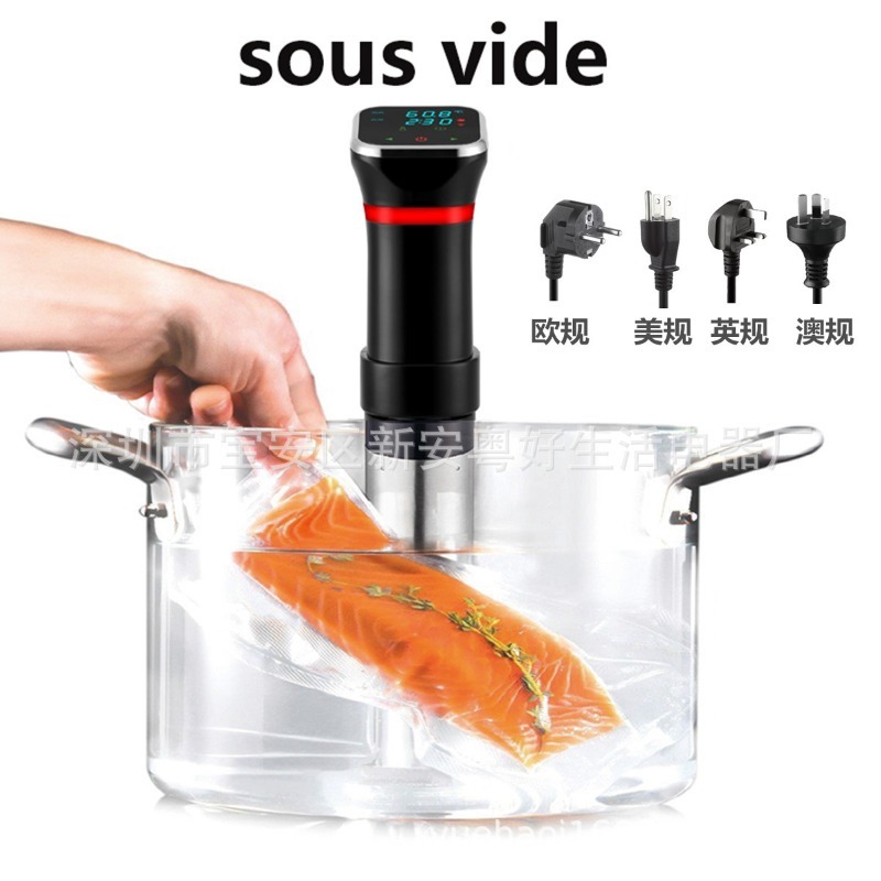 デジタル真空調理器 低温スロークッカー 真空ステーキ解凍器  - Digital Sous Vide Precision Cooker のレビューと価格